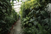 Botanická záhrada Bratislava