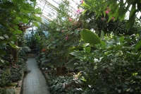 Botanická záhrada Bratislava