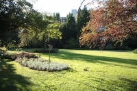 Botanická záhrada Bratislava
