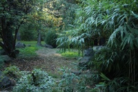 Botanická záhrada Bratislava