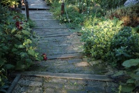 Botanická záhrada Bratislava