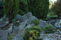 Botanická záhrada Bratislava